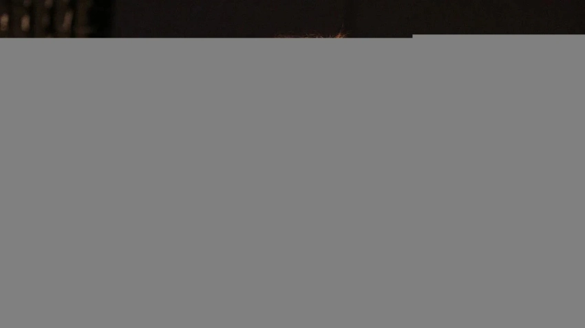 Легендарный стример Quinn рад, что не выступал на DreamLeague 27 по Dota 2